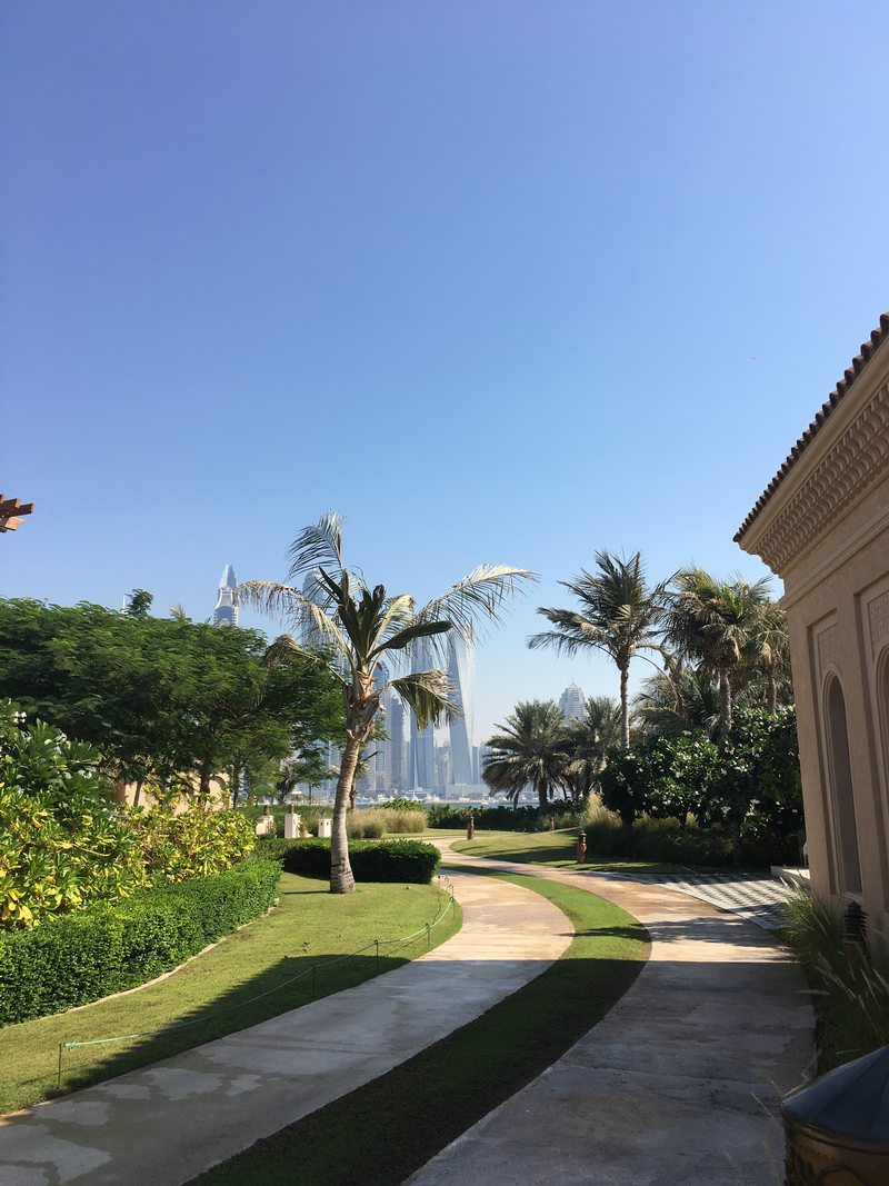 Foto 6: Skyline Dubai von Palm